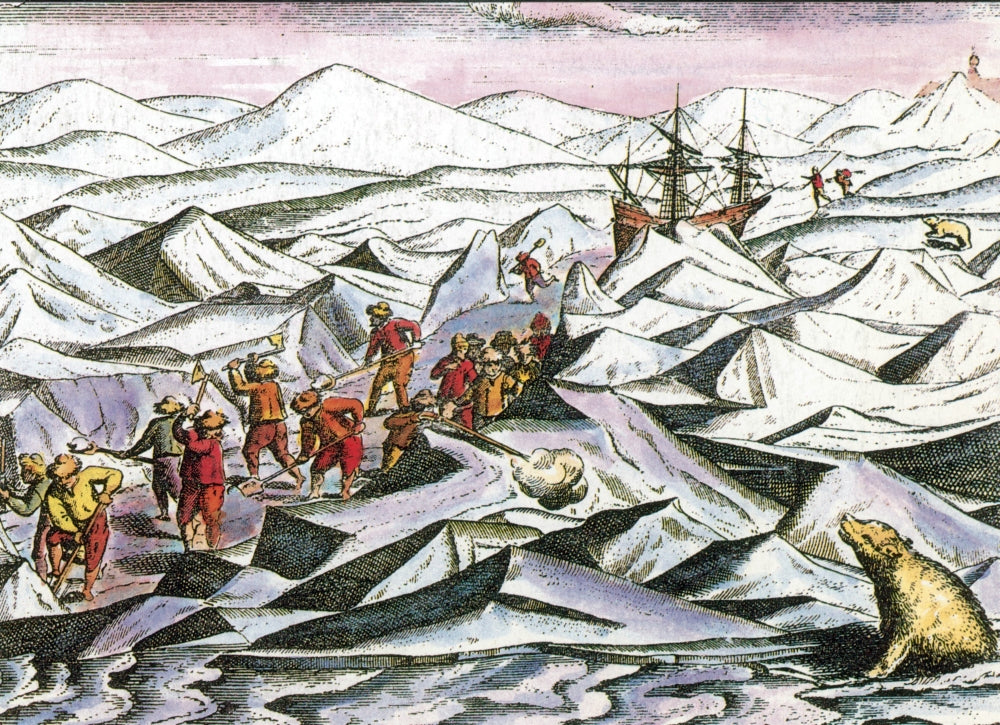 Barents Expedition Trapped in Arctic Ice Poster Print