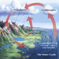 Earth's Water Cycle Educational Poster Print by Spencer Sutton