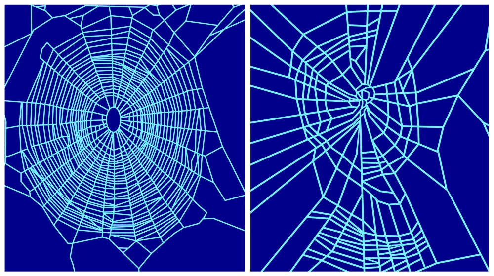 Effect of Benzedrine on Spiders Poster Print showcasing spider behavior study.