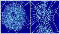 Effect of Benzedrine on Spiders Poster Print showcasing spider behavior study.