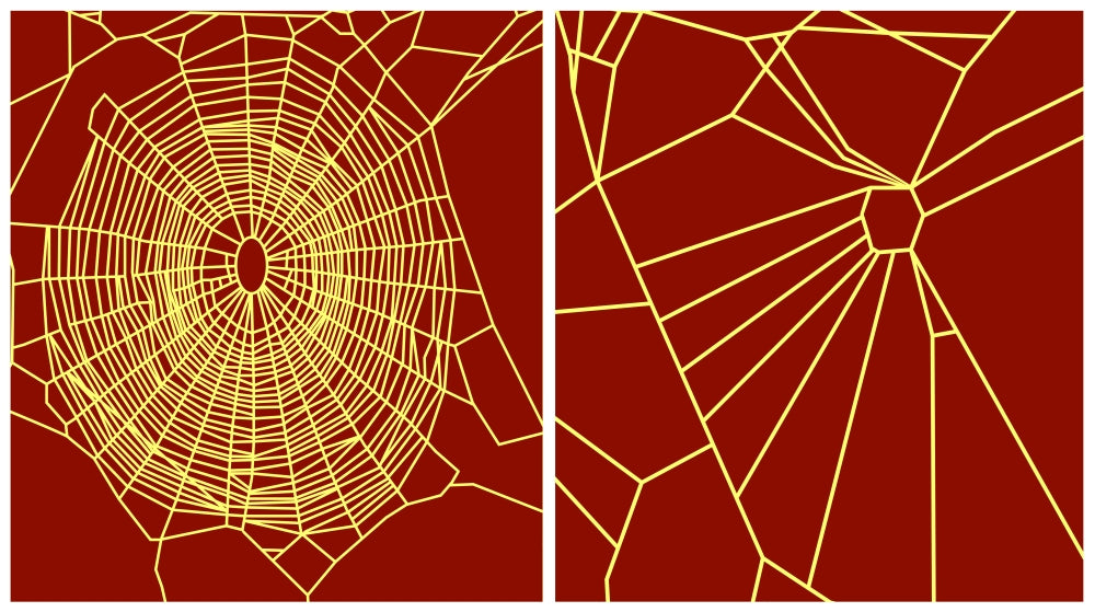 Effect of Chloral Hydrate on Spiders Poster Print showcasing scientific study.