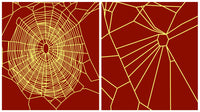 Effect of Chloral Hydrate on Spiders Poster Print showcasing scientific study.