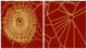 Effect of Chloral Hydrate on Spiders Poster Print showcasing scientific study.