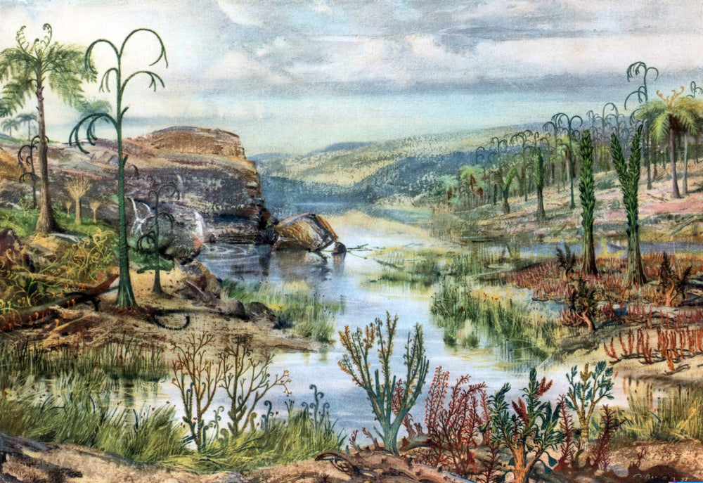 Prehistoric Middle Devonian Landscape Poster Print showcasing ancient geological scenery.