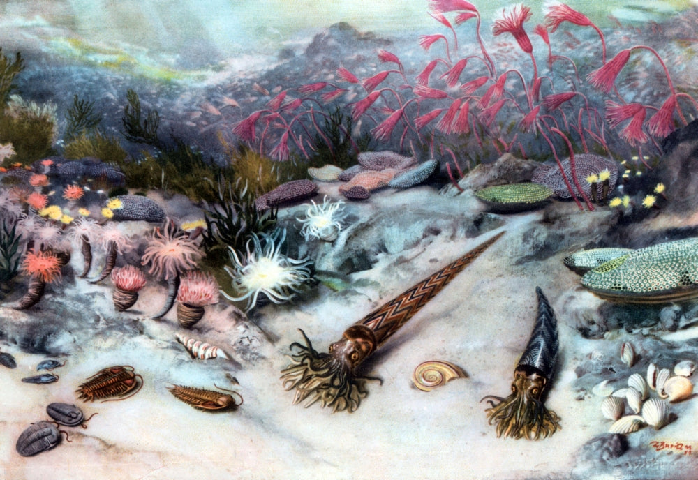 Silurian Seascape Poster Print showcasing ancient marine life