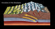 Formation of the Himalayas Poster Print showcasing geological beauty.