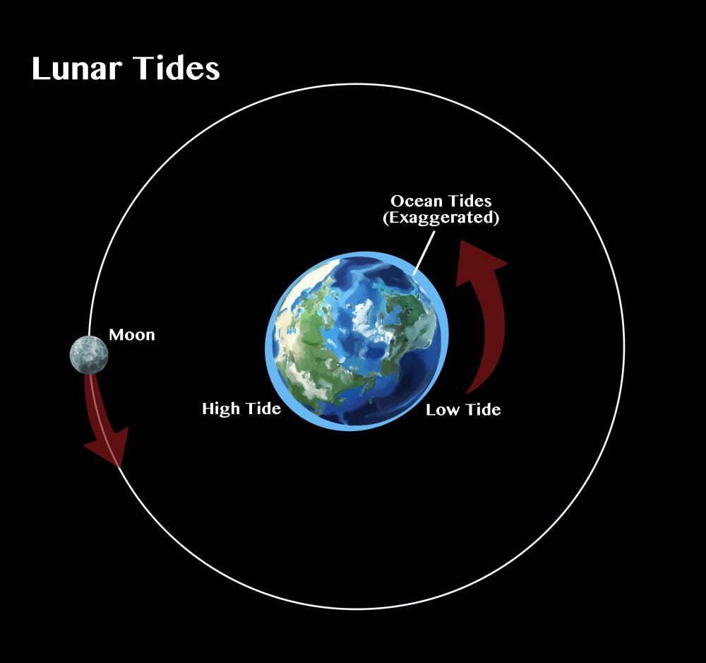 Tides Poster Print featuring ocean tides artwork by Science Source.