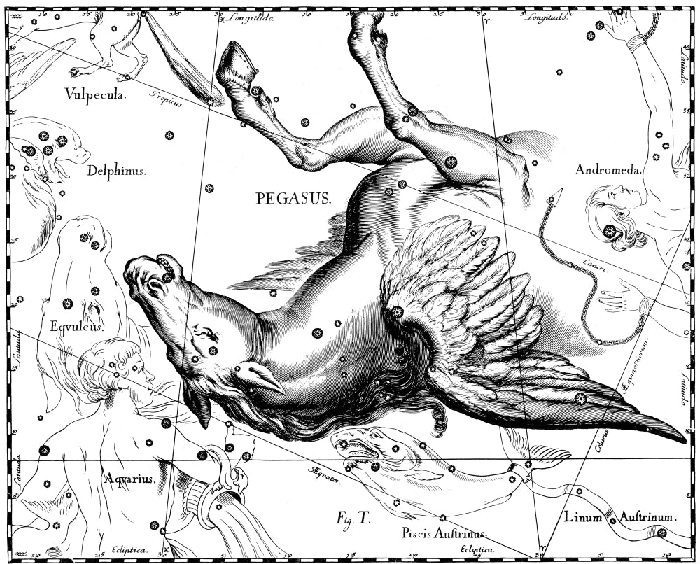 Pegasus Constellation Poster Print by Science Source