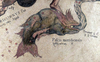 Piscis Austrinus Constellation Poster Print showcasing star patterns.