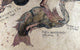 Piscis Austrinus Constellation Poster Print showcasing star patterns.