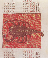 Scorpius Constellation Zodiac Sign Poster Print by Science Source