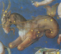 Capricornus Constellation Zodiac Sign Poster Print