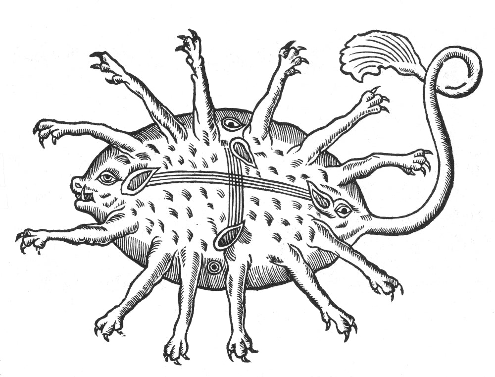 Rubus Legendary Sea Monster Poster Print by Science Source