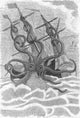 Giant Squid Attacking Ship Poster Print showcasing a dramatic ocean scene.