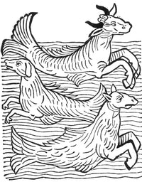 Legendary Sea Creatures Poster Print - 15th Century Art