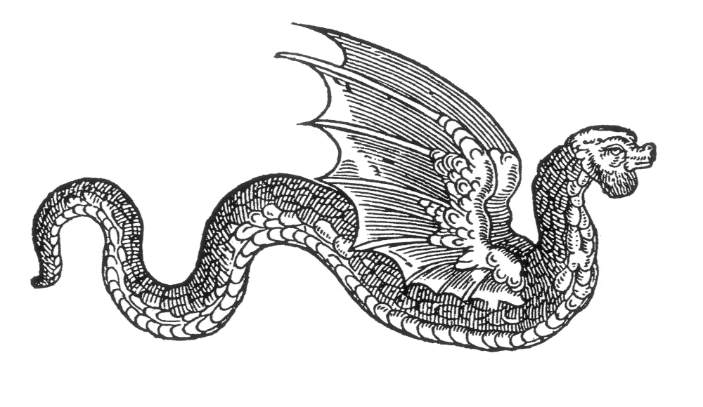 Winged Serpent Legendary Creature Poster Print showcasing mythical artistry.