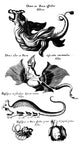 Dragons and Basilisks of Legend Poster Print by Science Source