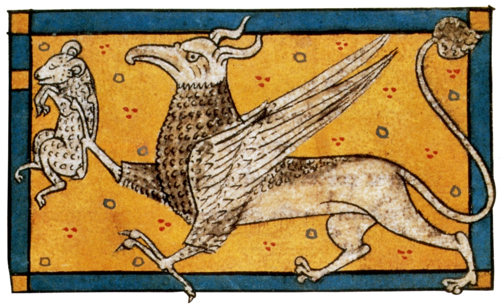 Griffin Legendary Creature Poster Print showcasing a mythical griffin.