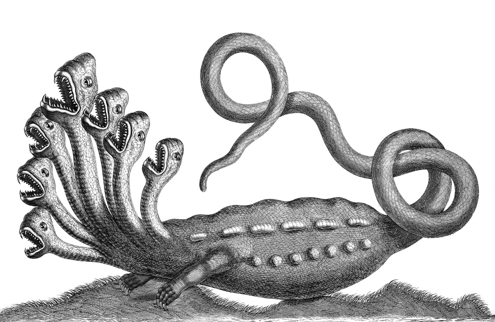 Hydra Legendary Creature Poster Print showcasing a mythical creature with multiple heads.