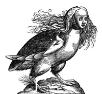 Harpy Legendary Creature Poster Print by Science Source