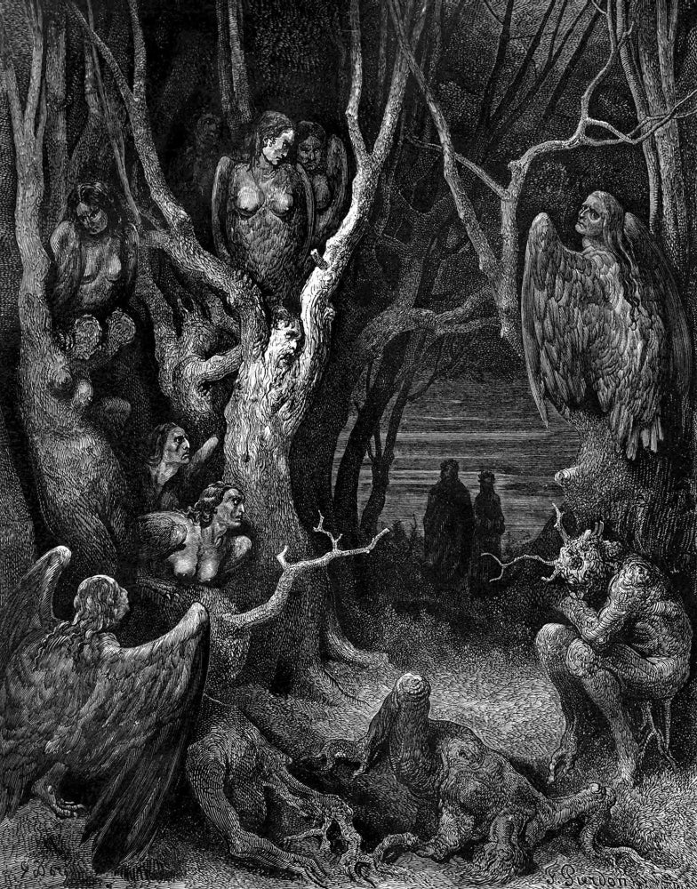 Harpies Legendary Creatures Poster Print showcasing mythical beauty