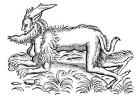 Satyr Legendary Creature Poster Print showcasing mythical art.