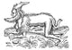 Satyr Legendary Creature Poster Print showcasing mythical art.