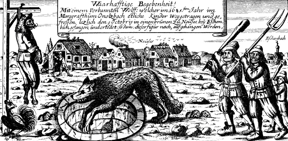 Werewolf of Ansbach 1685 Poster Print featuring a historical mythological theme.