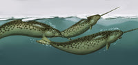 Narwhals Poster Print showcasing majestic ocean life.