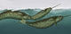 Narwhals Poster Print showcasing majestic ocean life.