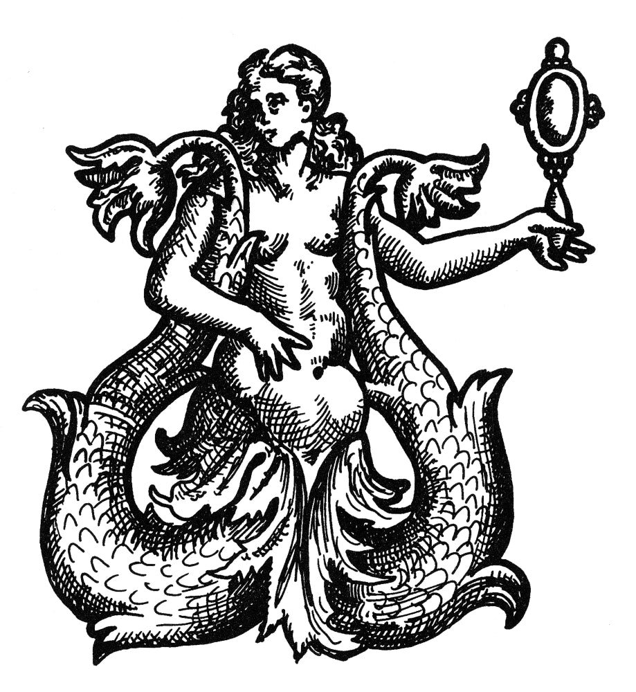 Mermaid Legendary Creature Poster Print showcasing the mythical beauty of mermaids.
