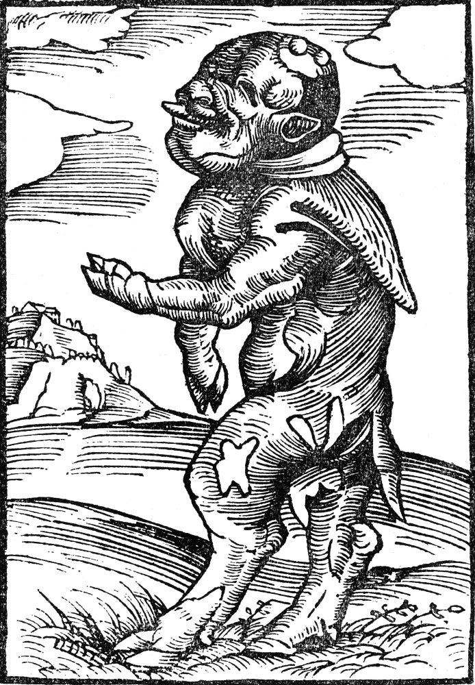 Monk Calf Reformation Monster Poster Print by Science Source