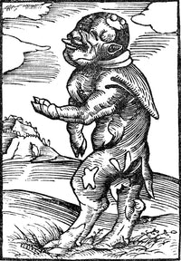 Monk Calf Reformation Monster Poster Print by Science Source
