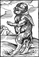 Monk Calf Reformation Monster Poster Print by Science Source