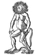 Wild Man Legendary Creature Poster Print showcasing a mythical figure.