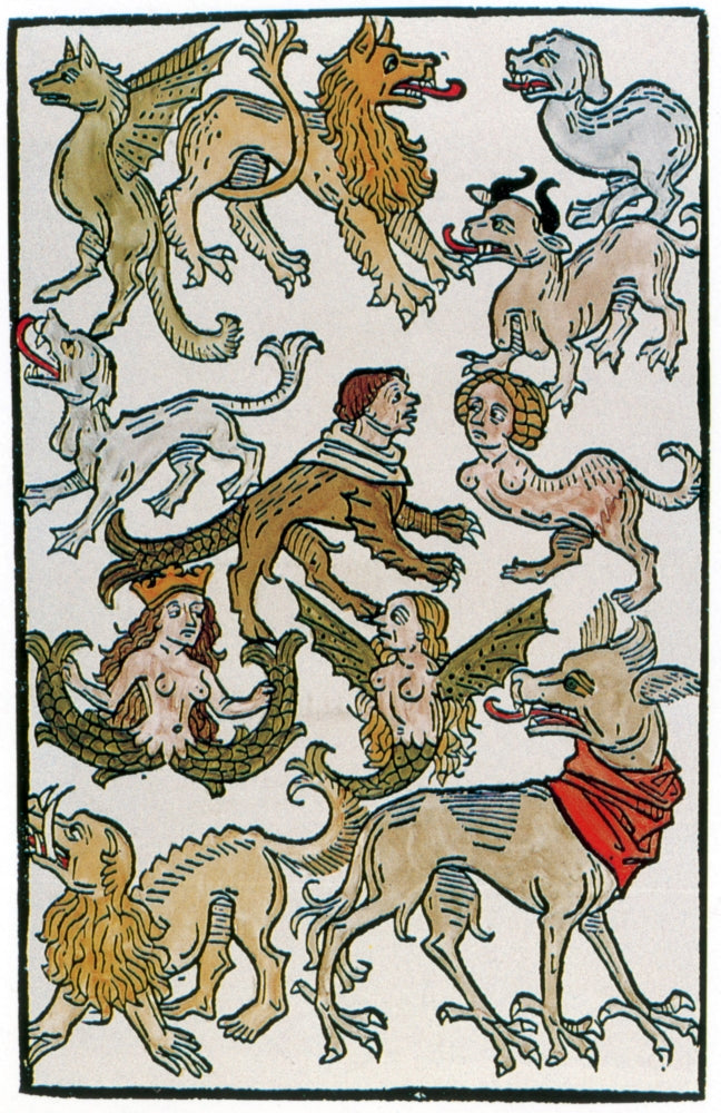 Human Monsters Poster Print from 1493, 18x24 inches