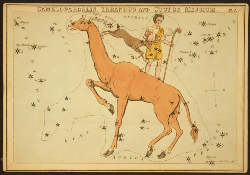 Urania's Mirror Constellations 1825 art print showcasing detailed star patterns.