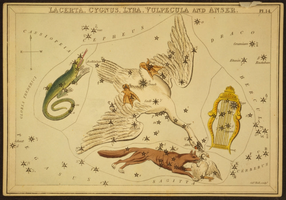 Lyra, Cygnus, Lacerta and Vulpecula 1825 Poster Print from Science Source