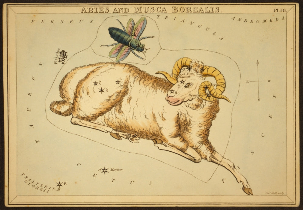 Aries Constellation Zodiac Sign Poster Print displaying stars.