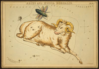 Aries Constellation Zodiac Sign Poster Print displaying stars.