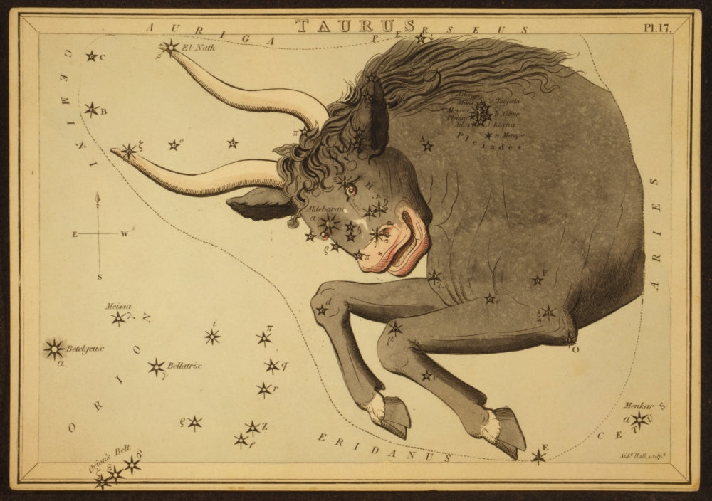 Taurus Constellation Zodiac Sign Poster Print
