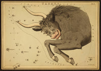 Taurus Constellation Zodiac Sign Poster Print