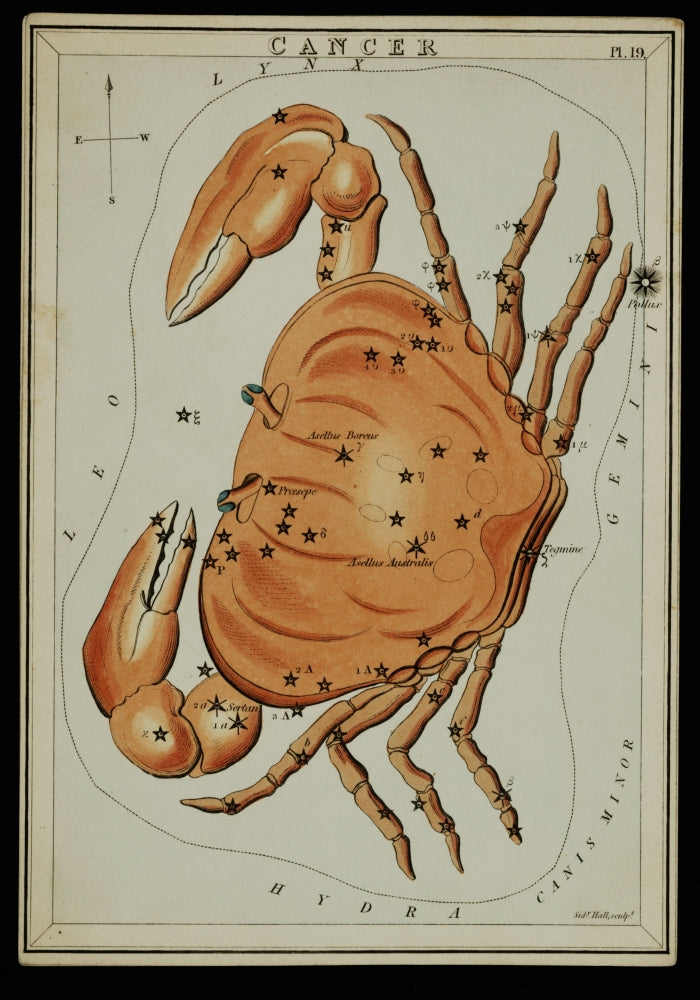 Cancer Constellation Zodiac Sign Poster Print depicting the stars and astrological elements.