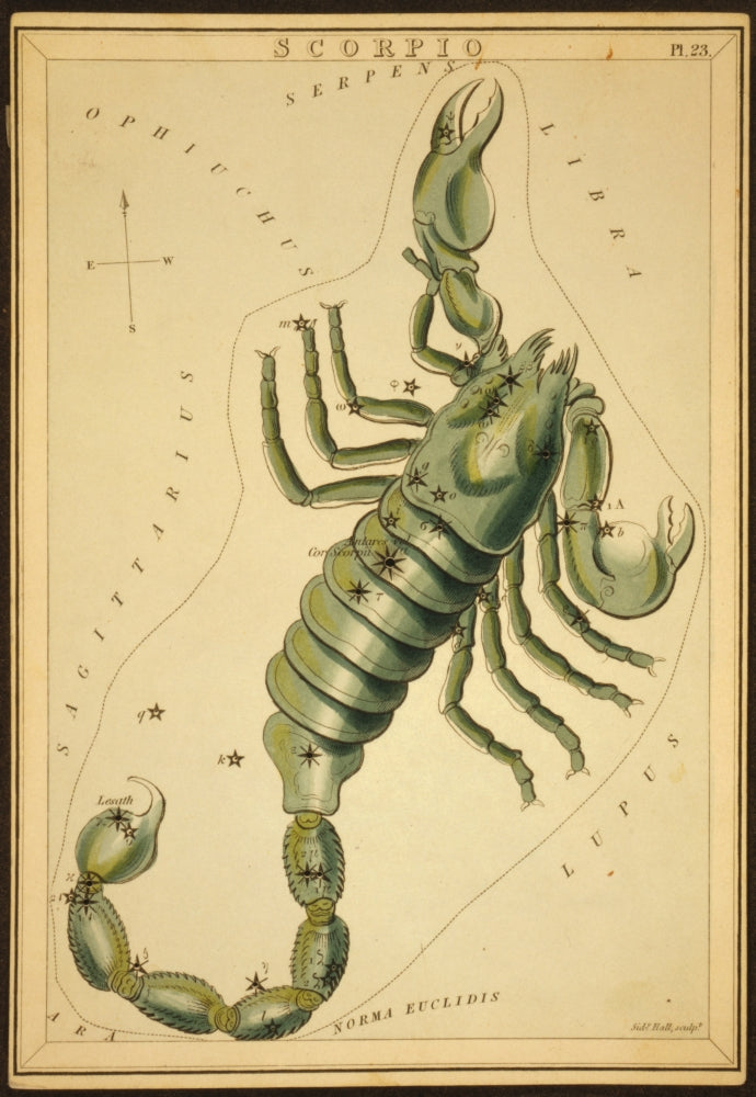 Scorpius Constellation Zodiac Sign Poster Print showcasing intricate star patterns.
