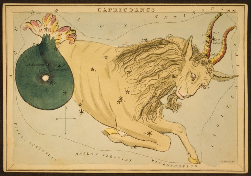 Capricornus Constellation Poster Print featuring zodiac sign artwork.