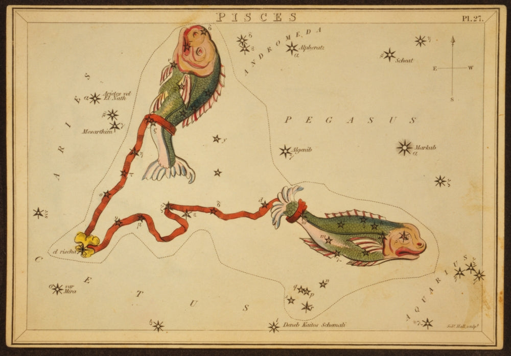 Pisces Constellation Zodiac Sign Poster Print by Science Source
