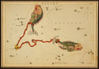 Pisces Constellation Zodiac Sign Poster Print by Science Source