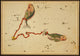 Pisces Constellation Zodiac Sign Poster Print by Science Source