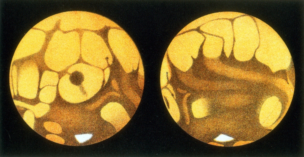 Schiaparelli Mars Map Poster Print from 1877-78