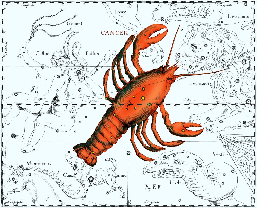 Cancer Constellation Poster Print showcasing the intricate patterns of the stars.